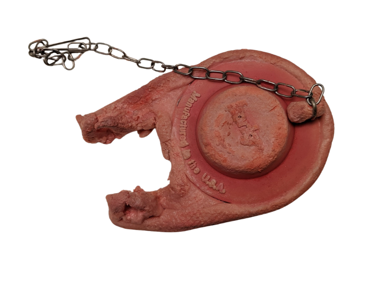 A rubber trap with a metal chain, designed for controlling wildlife, featuring a circular base and an open clamp mechanism.